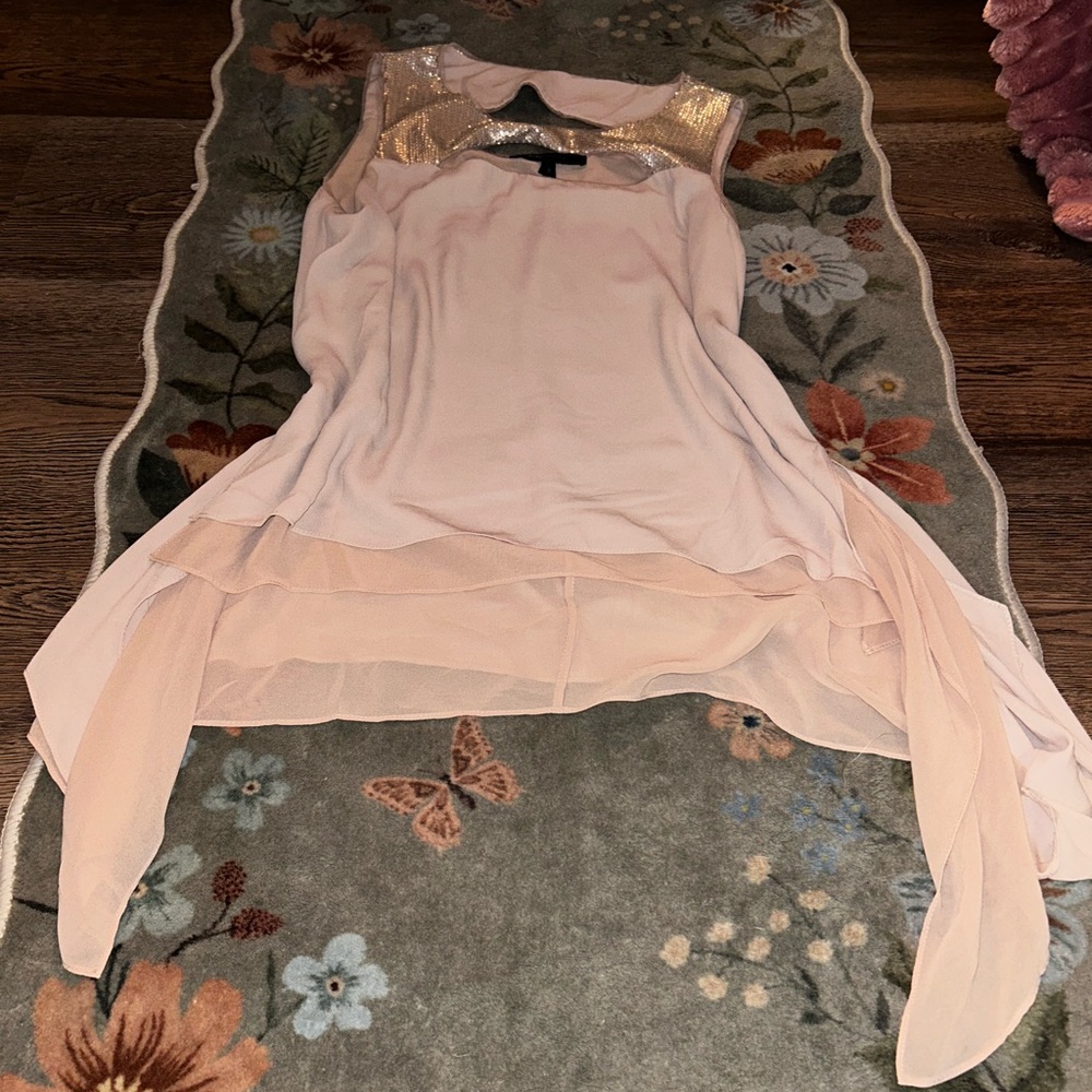 BCBGMaxAzria Blush Top with Silver Sequins
